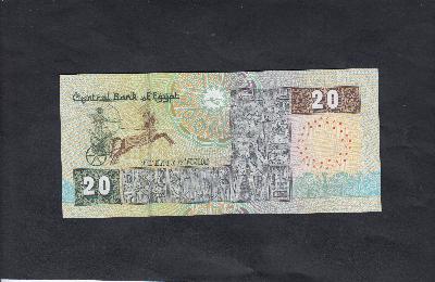 Beschrijving achterzijde: HORSE